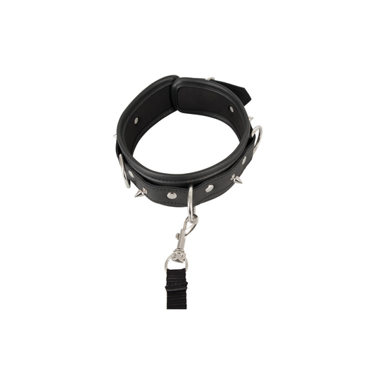 Vegan Fetish - Collar and Leash