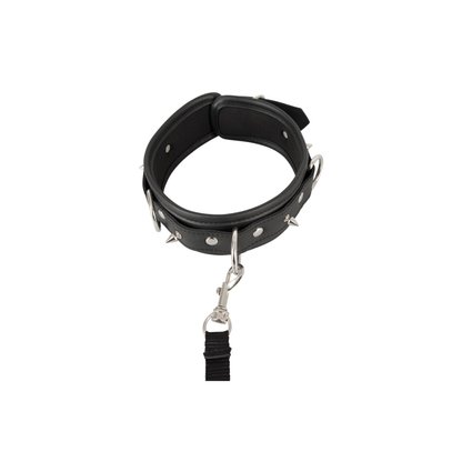 Vegan Fetish - Collar and Leash
