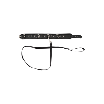 Vegan Fetish - Collar and Leash